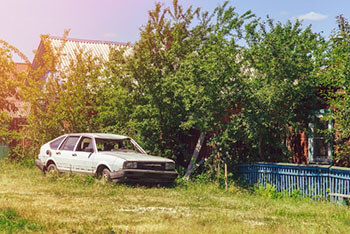 a junk car stands in the garden
