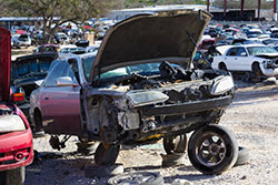 What kind of cars do you buy in Athens, Georgia?