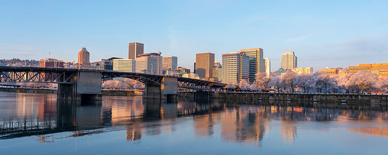 Where Do You Buy Junk Cars in Portland, TX?