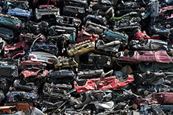 What kind of cars do you buy in Rockport, Texas?